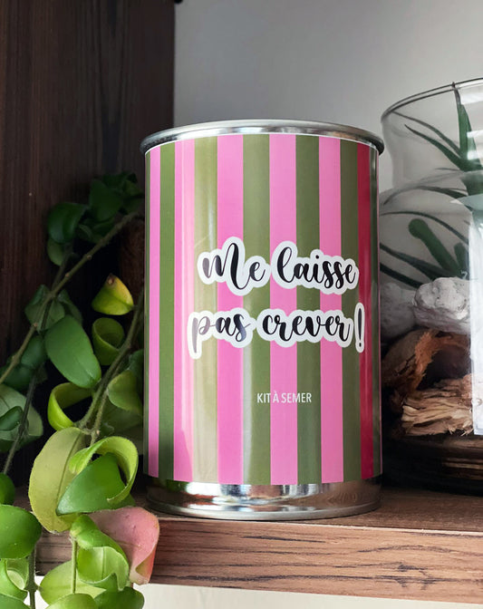 Kit à semer 'J'te kiffe Pétasse'