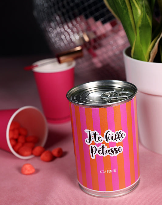 Kit à semer 'J'te kiffe Pétasse'